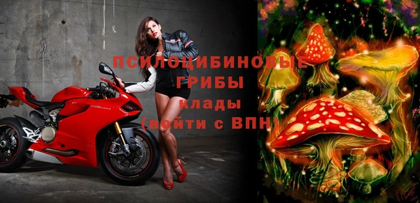 дурь Алексеевка