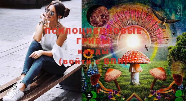 дурь Алексеевка